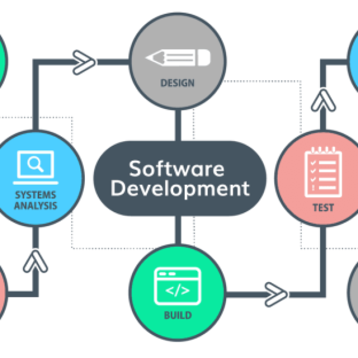 Software Development